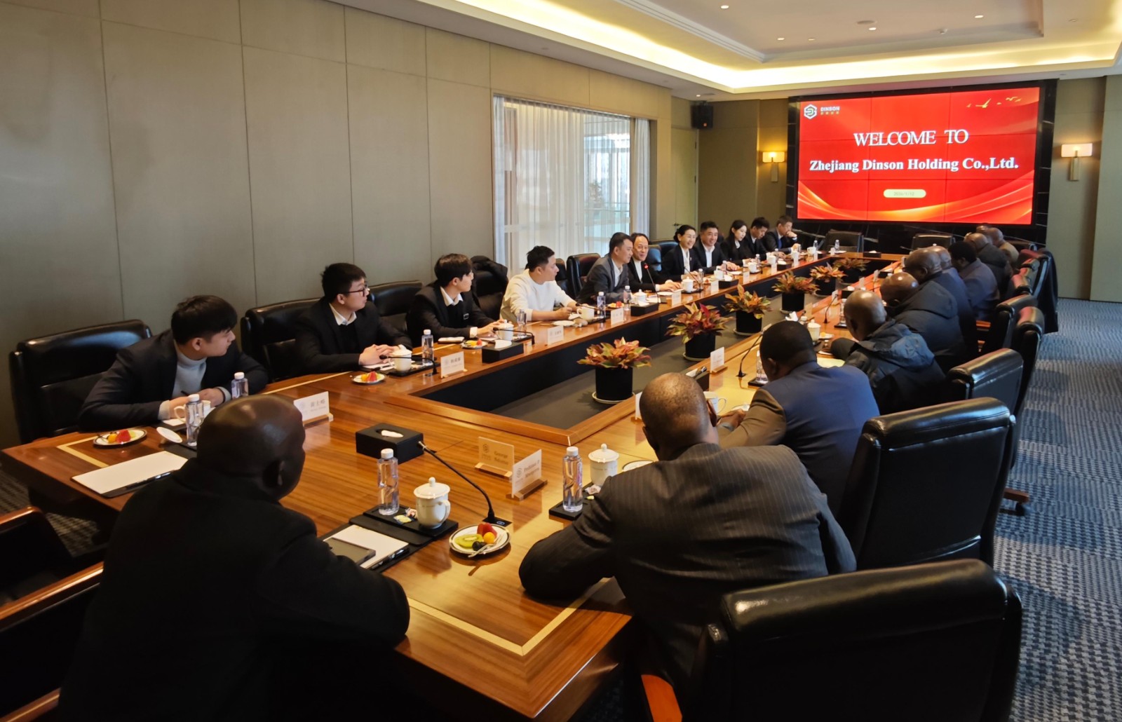 津巴布韦能源与电力发展部部长率团到访鼎森控股